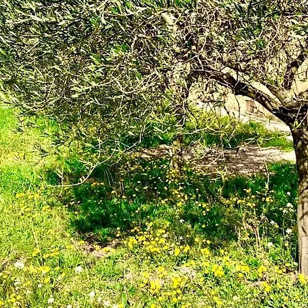 Gubbio-gualdo Tadino Incantevole Mansarda Con Terrazza Lägenhet